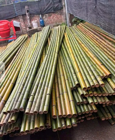 Bè Tre Xây Dựng